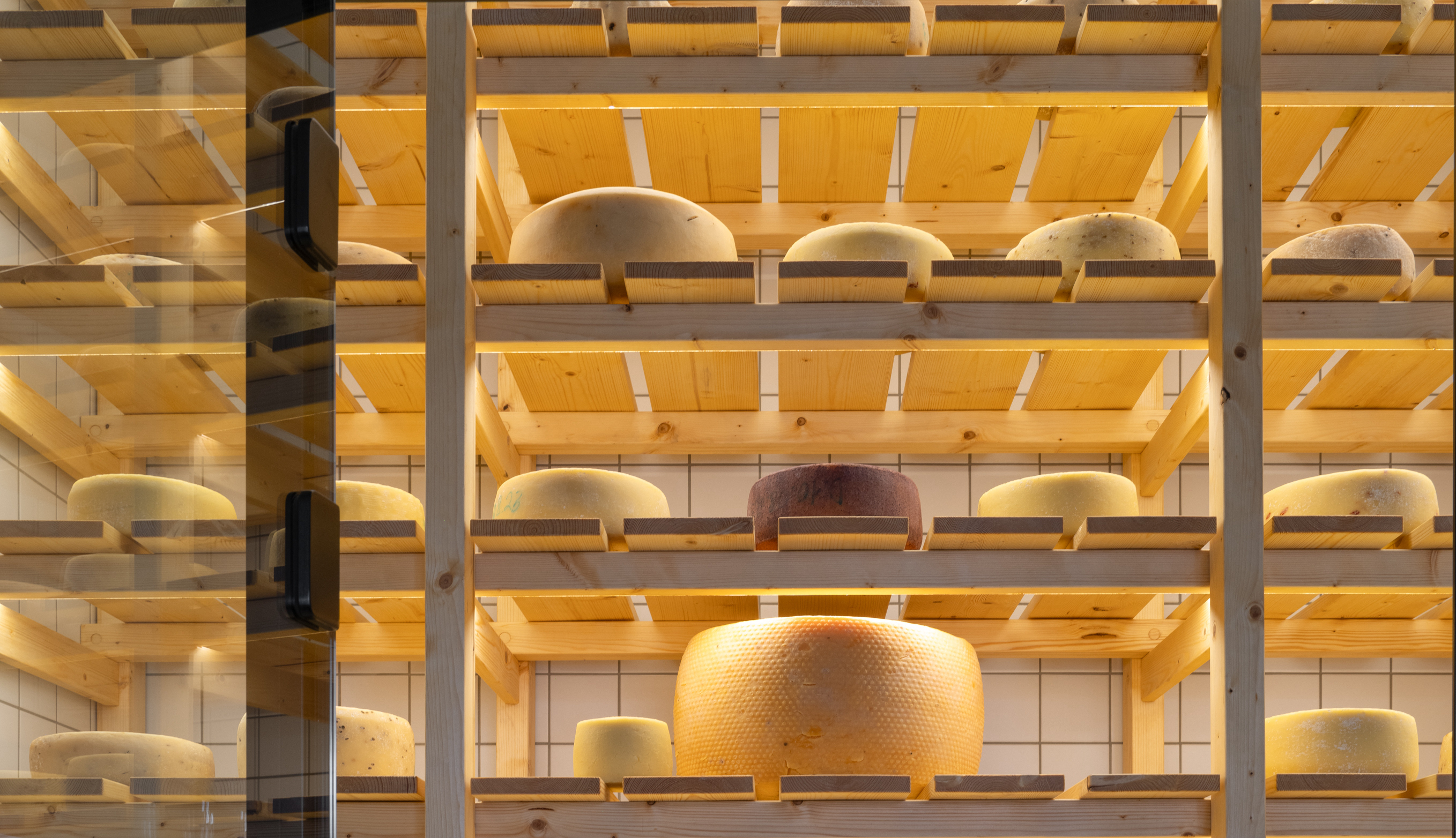 картинка с сыром